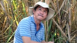 Bầu Đức ngoài trồng cao su vừa mở rộng thêm sang chăn nuôi bò thịt