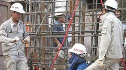 Lãnh đạo FECON xác nhận VinaCapital đã tiếp cận FECON