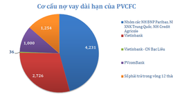 Ai là chủ khoản nợ gần 8.000 tỷ của Đạm Cà Mau?