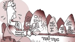 Giấy phép con vẫn sinh sôi ngày càng nhiều (Ảnh baohaiquan)