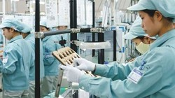 Một nhà máy tại khu công nghệ cao Hòa Lạc. Khu công nghệ cao này là một trong 4 cấu phần của khu đô thị Hòa Lạc.