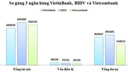 Quy mô của 3 ông lớn sau khi thực hiện sáp nhập