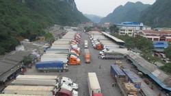 Việt Nam xuất sang Trung Quốc nông sản là chủ yếu