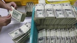 Ngân sách quốc gia đang chịu áp lực thiếu tiền để chi tiêu, đặc biệt chi cho đầu tư phát triển nên có đề xuất nghiên cứu cơ chế vay tiền từ quỹ dự trữ ngoại hối.