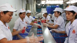 Hợp tác với “tay chơi mới” Hoàng Anh Gia Lai, Vissan sẽ tiếp tục đẩy mạnh chiến lược tiếp cận thị trường bằng chất lượng và vệ sinh an toàn thực phẩm   