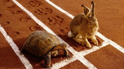 Ngành bất động sản: Chủ đầu tư “nhanh chân”, lãi tăng mạnh