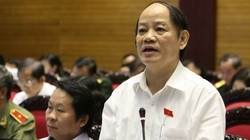 Đại biểu Quốc hội Huỳnh Nghĩa, đoàn Đà Nẵng