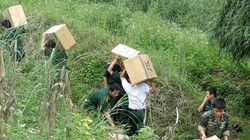 Buôn lậu qua đường tiểu ngạch ở biên giới hết sức phức tạp