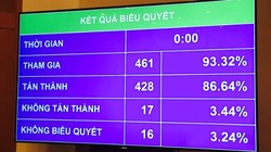 428 đại biểu, tương đương 86,64% thông qua chủ trương đầu tư Dự án Cảng hàng không quốc tế Long Thành 