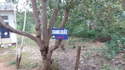 Cơn sốt đất tại Phú Quốc đang nóng lên từng ngày