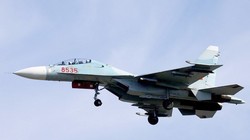 Tiêm kích Su-30MK2 của Không quân Việt Nam. Ảnh: militaryphotos.net