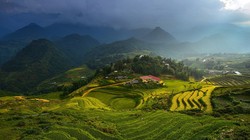 Mây sà xuống những thửa ruộng bậc thang đẹp sững sờ ở miền núi Việt Nam