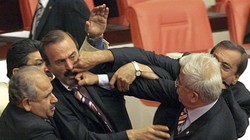 Chính khách choảng nhau bằng…kungfu như xã hội đen