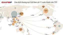 Các nước TPP chiếm gần 40% giá trị xuất khẩu của Việt Nam