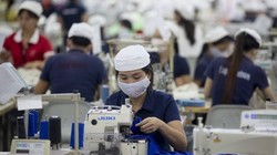 Dệt may là một trong những lĩnh vực Việt Nam được hưởng lợi từ TPP