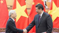 Lịch trình chuyến thăm Việt Nam của ông Tập Cận Bình 