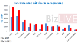 Nợ có khả năng mất vốn của hệ thống ngân hàng ngày một phình to