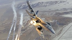 Boeing EA-18G Growler. Ảnh: US Navy