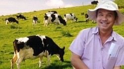 Bầu Đức mất hang ngàn tỷ do cổ phiếu HAG tụt dốc kỷ lục