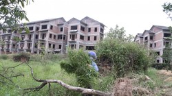 Dự án trăm tỷ giờ để hoang hóa