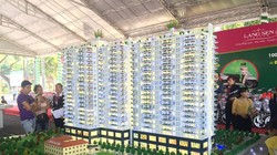 Dự án Diamond Lotus Lake View - Ảnh: Đình Sơn