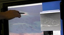 Hành động của Trung Quốc có chủ đích và tính toán từ trước, hoàn toàn không lệch với những gì Chủ tịch Trung Quốc Tập Cận Bình tuyên bố khi thăm Mỹ, Anh, Việt Nam và Singapore.