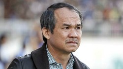 Ông Đoàn Nguyên Đức, Chủ tịch HĐQT HNG