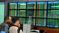 Nhiều nhà đầu tư bị thiệt hại do doanh nghiệp 'quên' công bố đầy đủ thông tin theo quy định