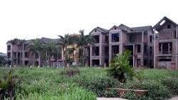 Những bước giá cuối cùng (kỳ 2)