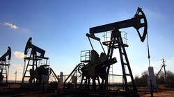 Nga tung ra thị trường loại “vàng đen chất lượng cao”