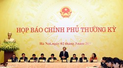 Buổi họp báo Chính phủ thường kỳ tháng 2/2015