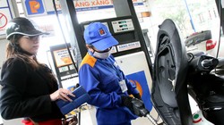 Vừa tăng giá điện lại dồn giá xăng: Nghe mà run