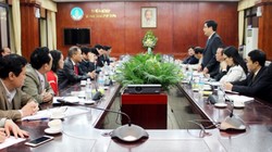 Vingroup đề xuất trồng rau sạch trên cánh đồng mẫu lớn tại Quảng Ninh