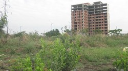 Một dự án rộng 143 ha trên vùng đất vàng Quận 2 - TP. Hồ Chí Minh bỏ hoang 10 năm na