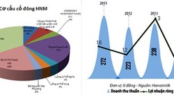 Nhà đầu tư ngoại: “Đũa thần” của HNM?