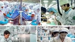 Hiện chất lượng nguồn nhân lực của Việt Nam còn thấp và có khoảng cách khá lớn so với các nước trong khu vực. Ảnh minh hoạ 