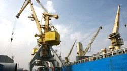 Tàu biển trước khi rời cảng Hải Phòng đều được kiểm tra nghiêm ngặt theo quy định hàng hải quốc tế. 