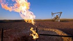 Quỹ đầu tư mất niềm tin vào giá dầu