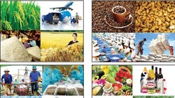 Trung Quốc có 7845 dòng thuế cắt giảm về 0%, chiếm tỷ lệ 95,35% tổng số dòng thuế và chiếm 91,59% tổng kim ngạch nhập khẩu từ Việt Nam. Ảnh minh hoạ 