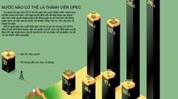 Toàn cảnh về cấu trúc sức mạnh của OPEC