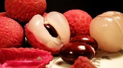 Vì sao quả vải xuất khẩu sang Mỹ, Úc không giải quyết vấn đề gì?