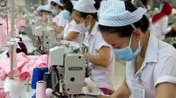 Vụ doanh nghiệp Việt mất đơn hàng 2 tỷ USD: Bộ Công Thương đề nghị sửa Quyết định 80