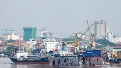 Hải Phòng tràn lan tàu quá khổ quá tải 