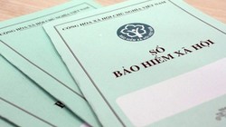 Nhiều doanh nghiệp bị phạt do chậm đóng bảo hiểm xã hội cho người lao động