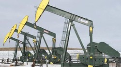 Giá dầu đảo chiều thành công, vượt đáy 6 tháng