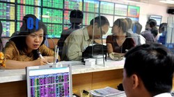 Sẽ có nhiều công ty chứng khoán hợp nhất với nhau trong năm nay. 