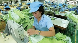 FTA Việt Nam - EU: Dệt may thoát lệ thuộc nguyên liệu từ Trung Quốc