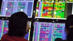 Cổ phiếu ngân hàng đồng loạt lao dốc, chứng khoán đỏ sàn