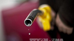 Thị trường dầu hiện vẫn trong tình trạng dư thừa nguồn cung. Ảnh: AFP/TTXVN