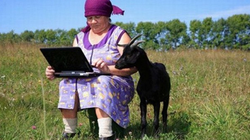 Vì sao Facebook bắt kỹ sư của mình sử dụng toàn điện thoại “cùi”, giá rẻ?